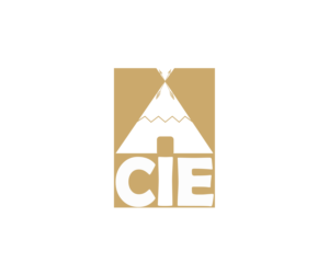 Logo Design by Voom_design for CIEDA | Design: #22631819