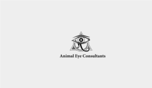 Logo Design by Abraham works