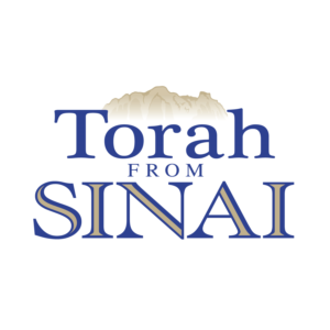 Logo Design by contajus for this project | Design: #22637944