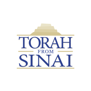 Logo Design by contajus for this project | Design: #22637945
