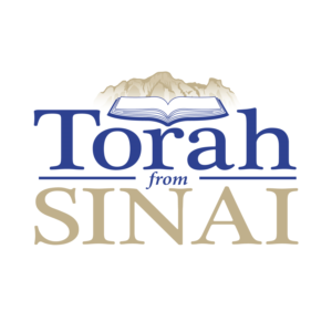Logo Design by contajus for this project | Design: #22691091