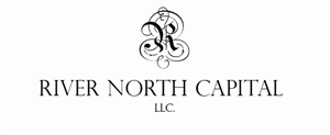 Logo Design by CMS for Seriously Automotive Group | Design #2962744