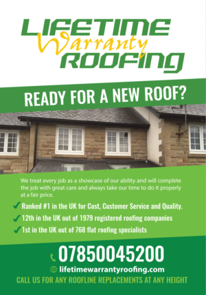 lifetime warranty roofing flyer* | Design de Flyer par Sergio Coelho