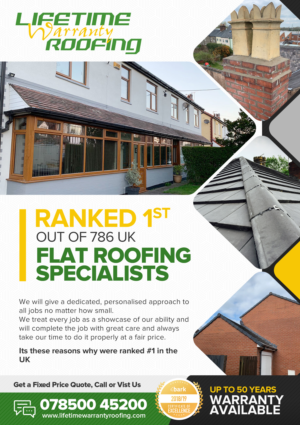 lifetime warranty roofing flyer* | Design de Flyer par SAI DESIGNS