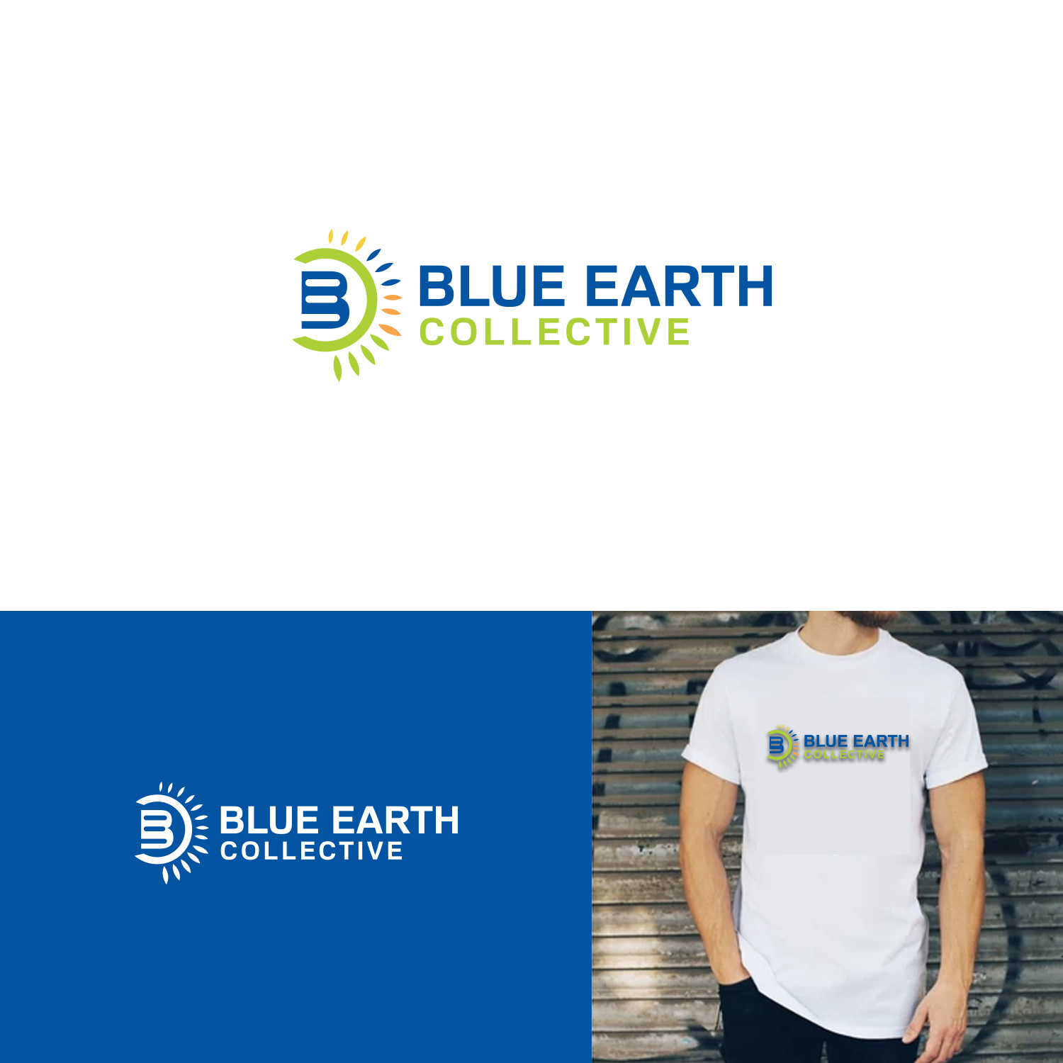 Logo-Design von Maxo-Biz für dieses Projekt | Design #22644206