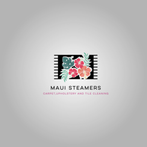 Logo Design by Blome
