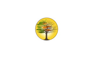 Logo Design by The Seventh Key Magic