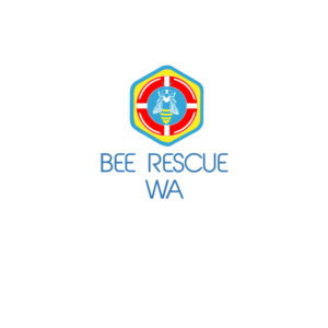Logo Design by Dobriarto