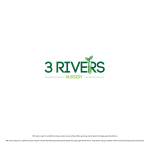 3 Rivers | Logo Design by ecorokerz