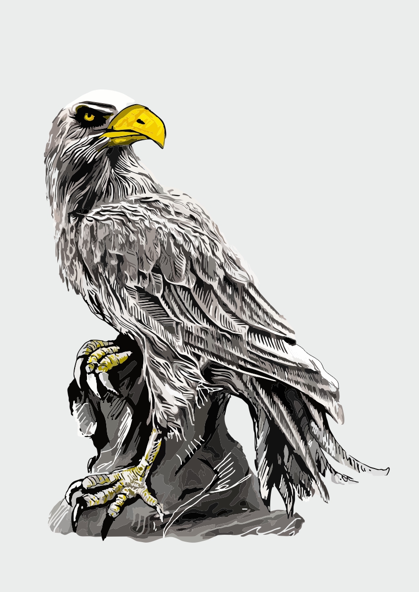 Graphic Design by mehmet_ilkerli for Tim Krause | Design #22692939