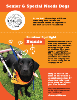 Graphic Design by MNM for this project | Design: #22699922