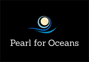 Logo Design by anice