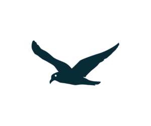 Logo Design by jessietorrente10 for this project | Design: #22687791