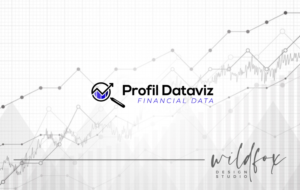 Logo Design by WildFox