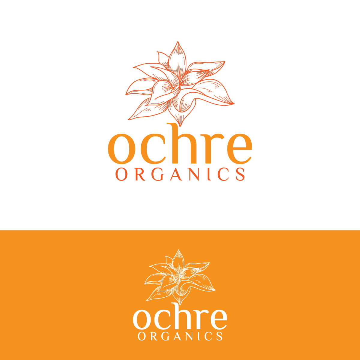 Logo Design by creative.bugs for this project | Design #22699859
