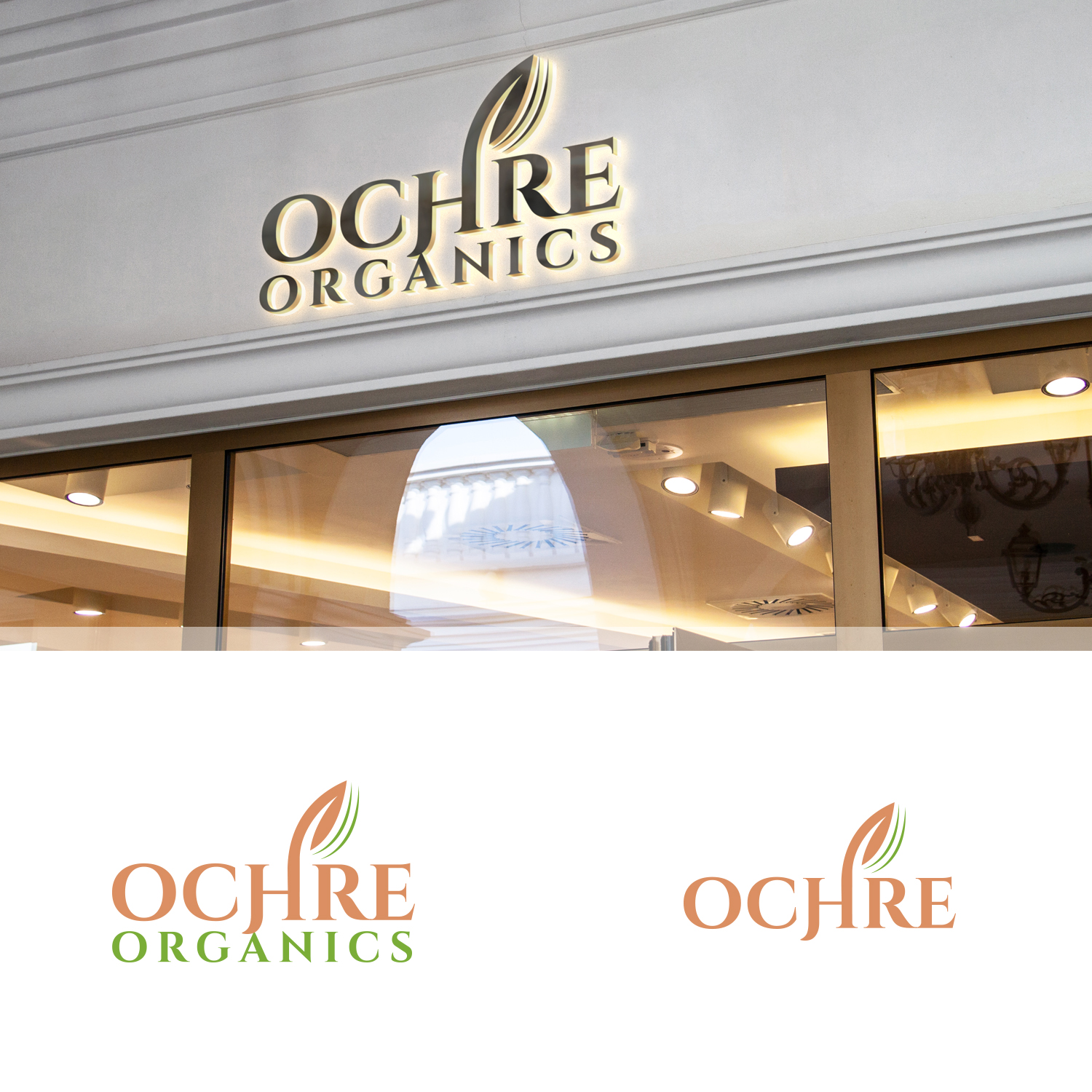 Logo Design by Maxo-Biz for this project | Design #22698408