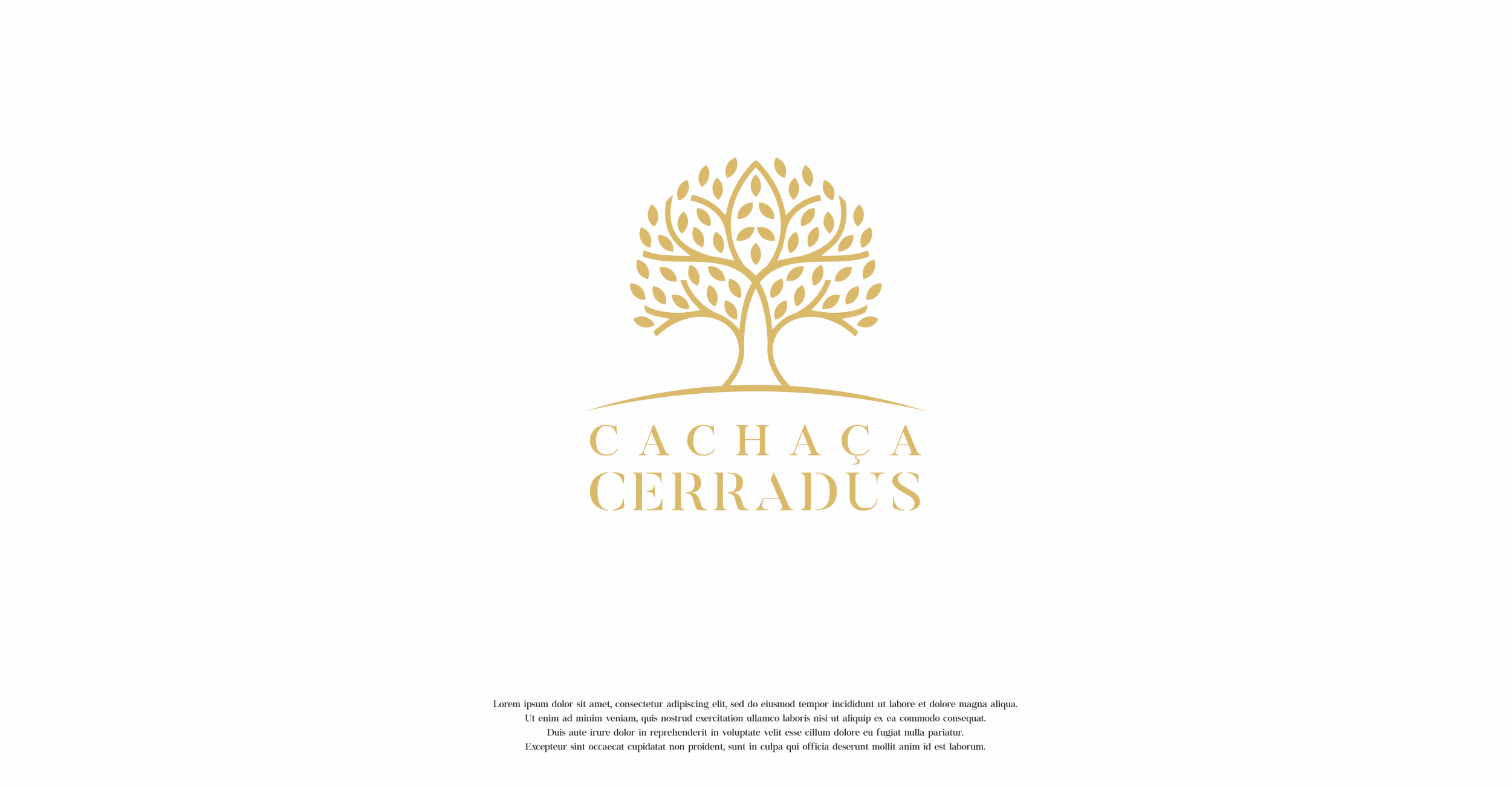 Logo Design by nusdofficial for this project | Design #22770159