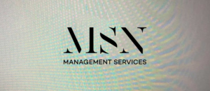 Design de Logo par Sarah Graphic pour MSN Management | Design : #22709136