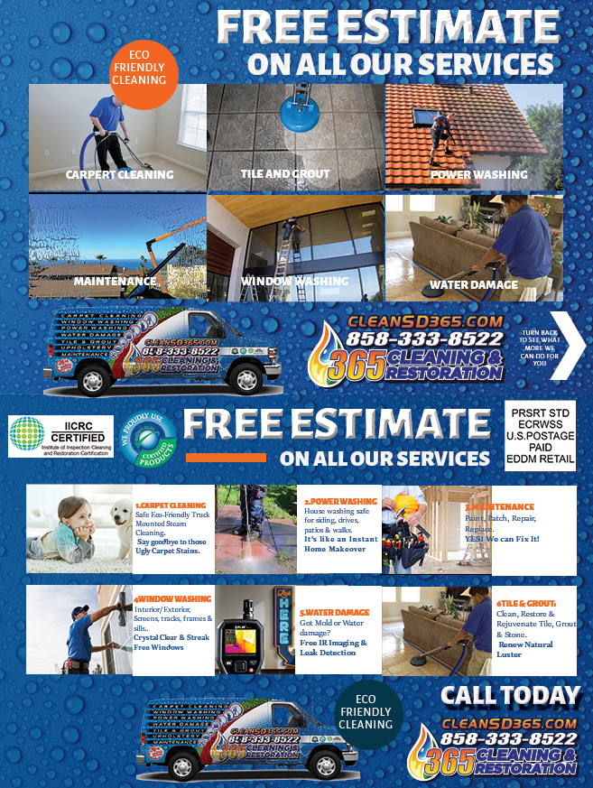 Diseño de Flyer por AnneWanjiku para SD Pro Team | Diseño #22735796