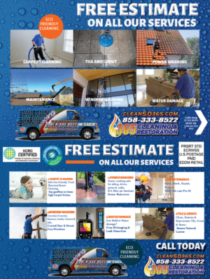CARPET CLEANING FLYER WINDOW WASHING FLYER | Flyer-Design von AnneWanjiku
