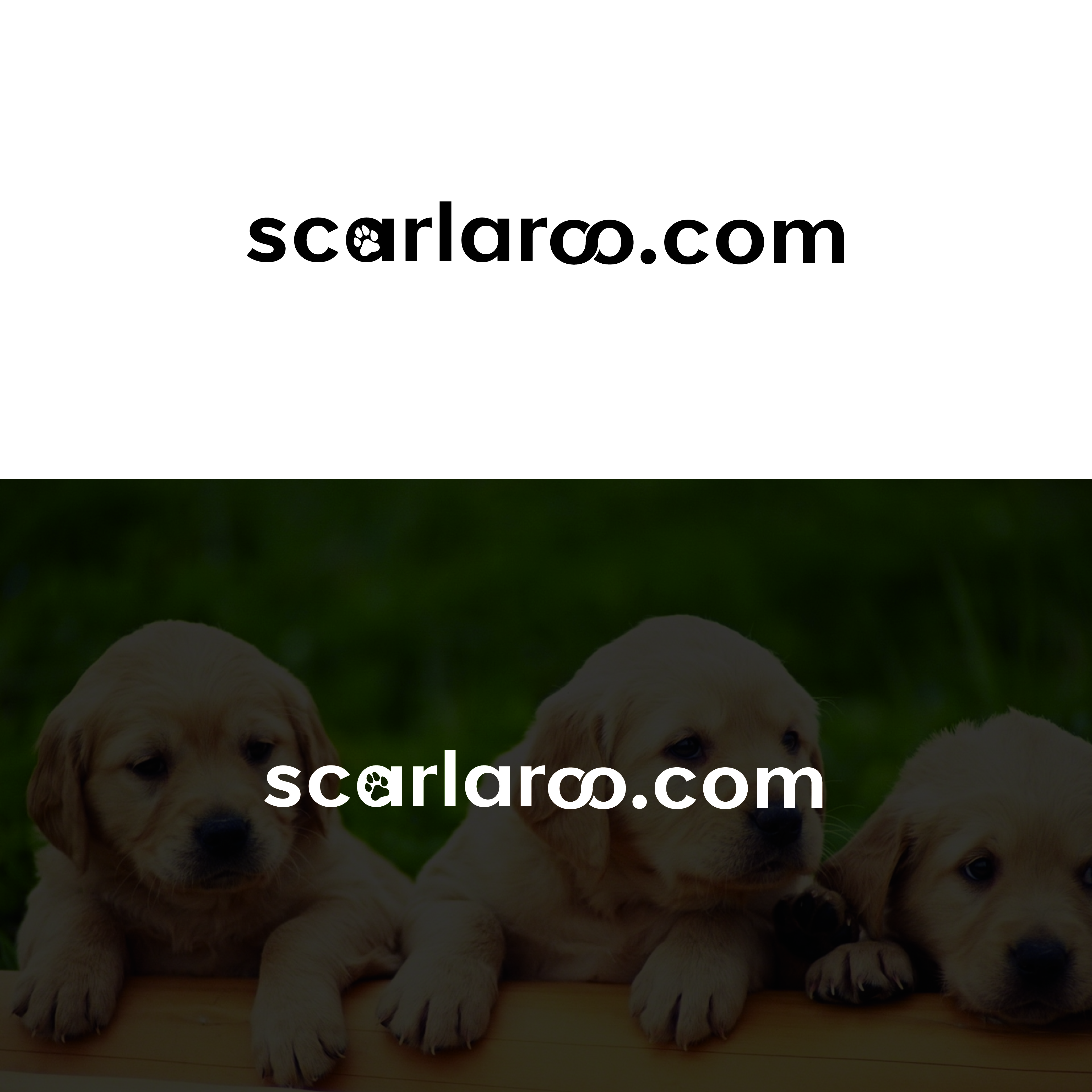 Logo Design by ecorokerz for PPP Scarla | Design #22722769