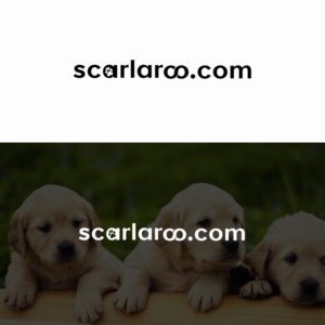 Logo-Design von ecorokerz für PPP Scarla | Design: #22722769