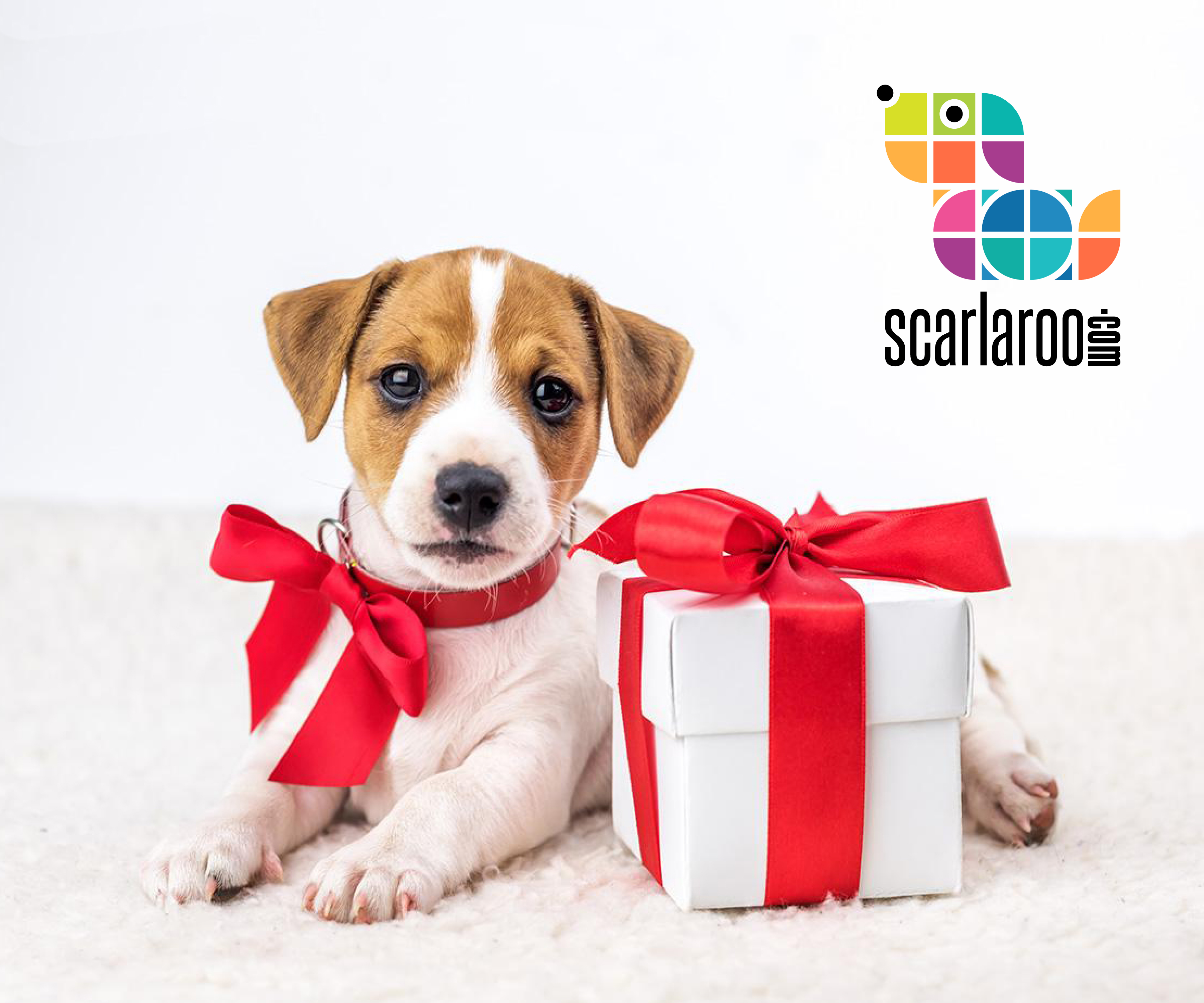 Design de Logo par Indrawasih pour PPP Scarla | Design #22728127