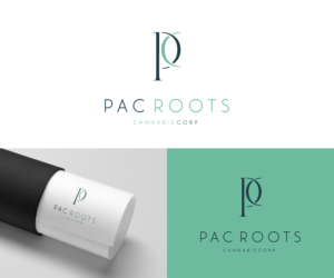 we woud like the letter P and R | Logo Design by H-H Arts