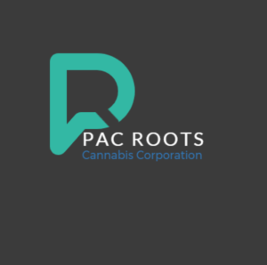 Logo Design by KRIDE INFOTECH
