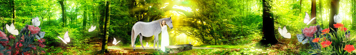 Diseño Gráfico por mehmet_ilkerli para este proyecto | Diseño #22803041