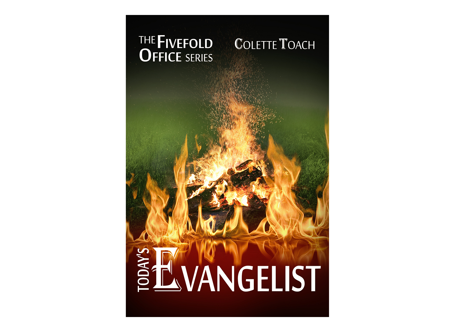 Book Cover Design by Ann_RS - Anelia for this project | Design #22733407