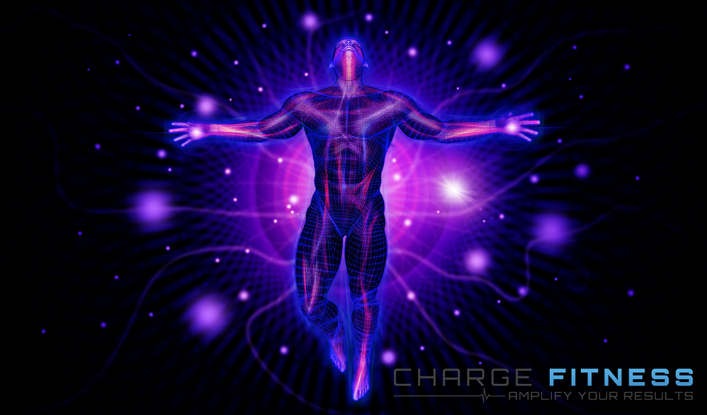 Diseño Gráfico por vectoradics para este proyecto | Diseño #22790410