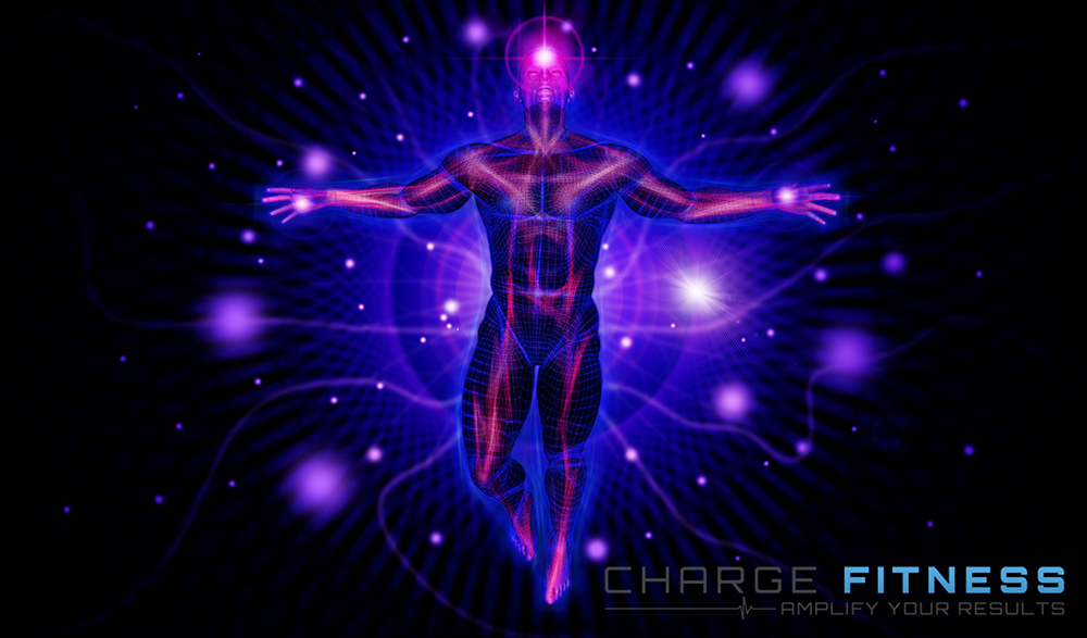 Graphic Design by vectoradics for this project | Design #22826550