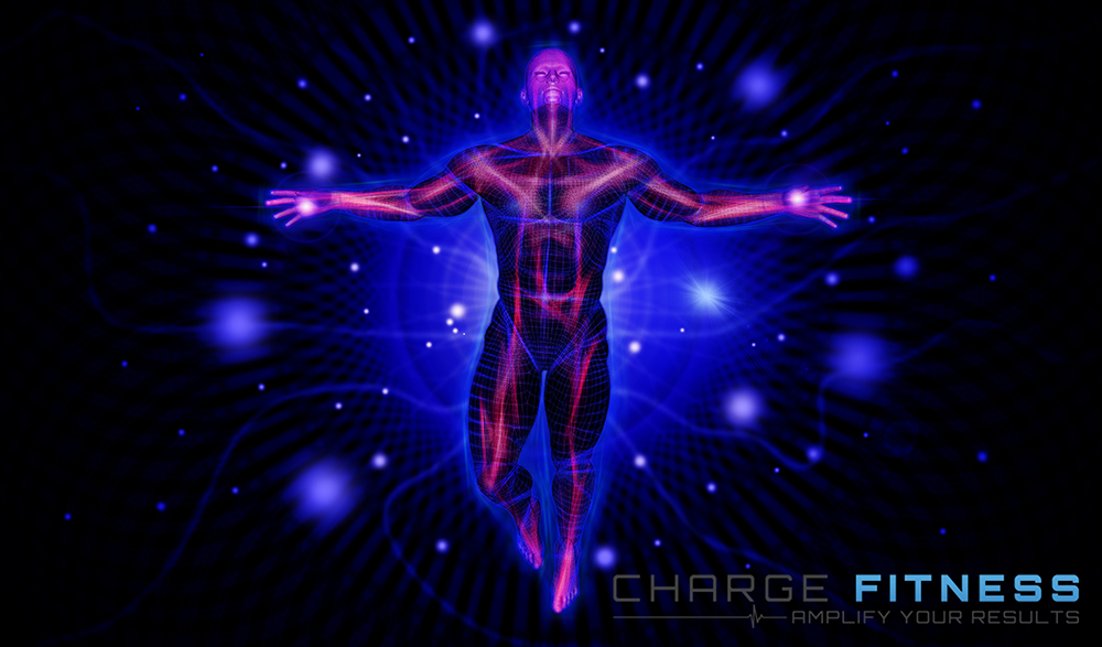 Grafik-Design von vectoradics für dieses Projekt | Design #22827037