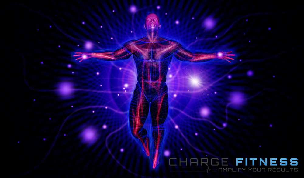 Grafik-Design von vectoradics für dieses Projekt | Design #22827399