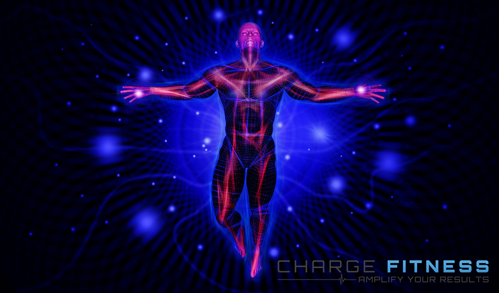 Grafik-Design von vectoradics für dieses Projekt | Design #22827400