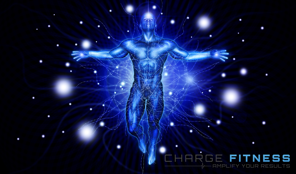 Graphic Design by vectoradics for this project | Design #22842237