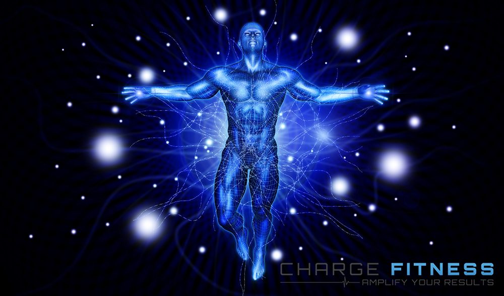 Diseño Gráfico por vectoradics para este proyecto | Diseño #22842238