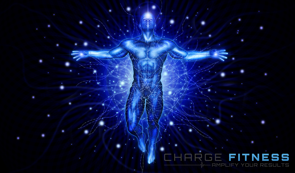 Graphic Design by vectoradics for this project | Design #22844730