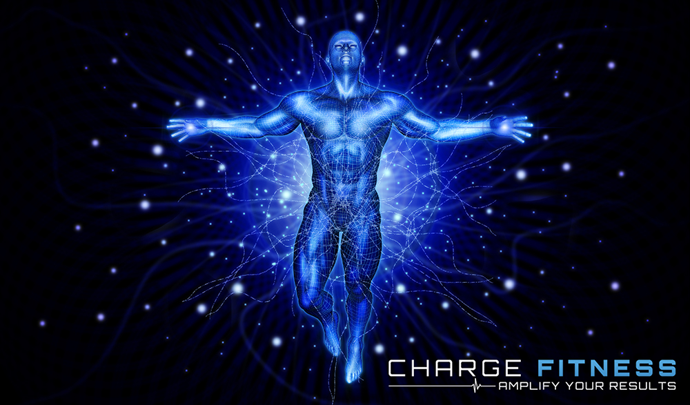 Graphic Design by vectoradics for this project | Design #22854164