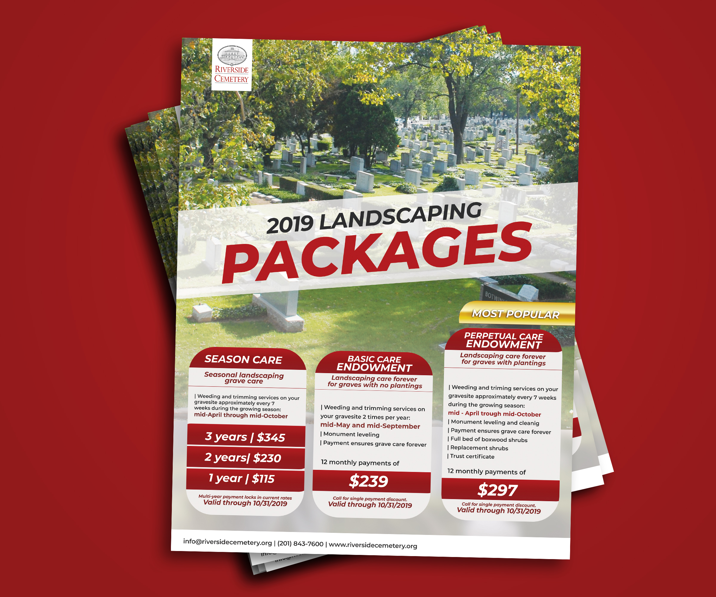 Diseño de Flyer por mbembocreation para este proyecto | Diseño #22747120