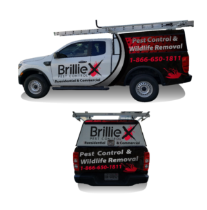 Diseño de Rotulación de Vehículo por Kira Graphics para este proyecto | Diseño: #22811727