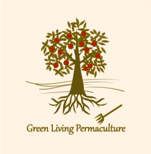 Logo Design by Romana Goikova design