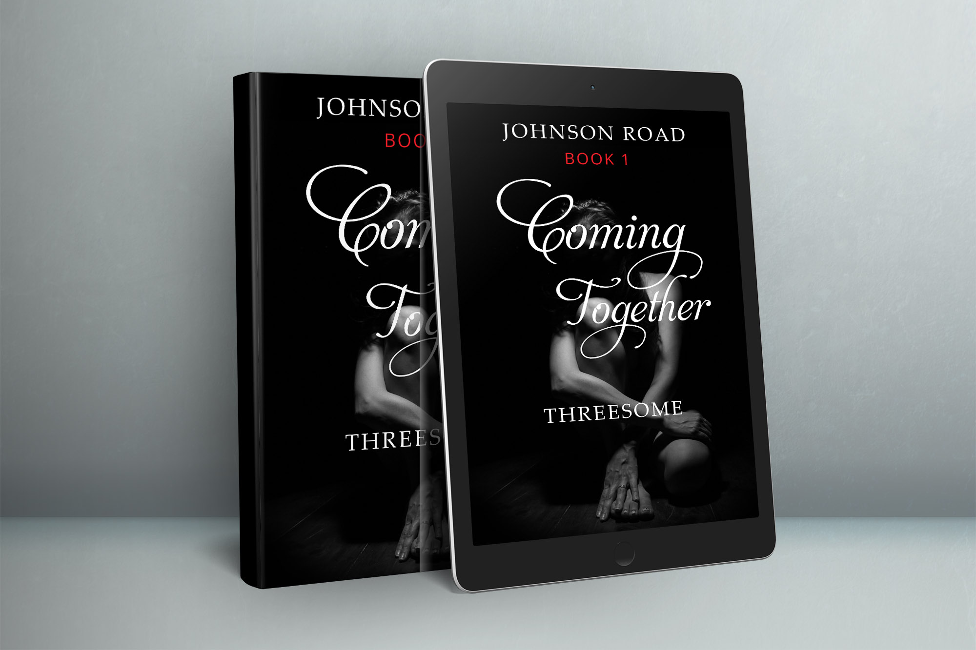 eBook Cover Design by wolfwud for this project | Design #22749269