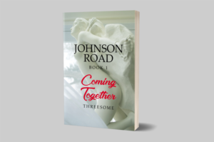 eBook Cover Design by wolfwud for this project | Design: #22759341