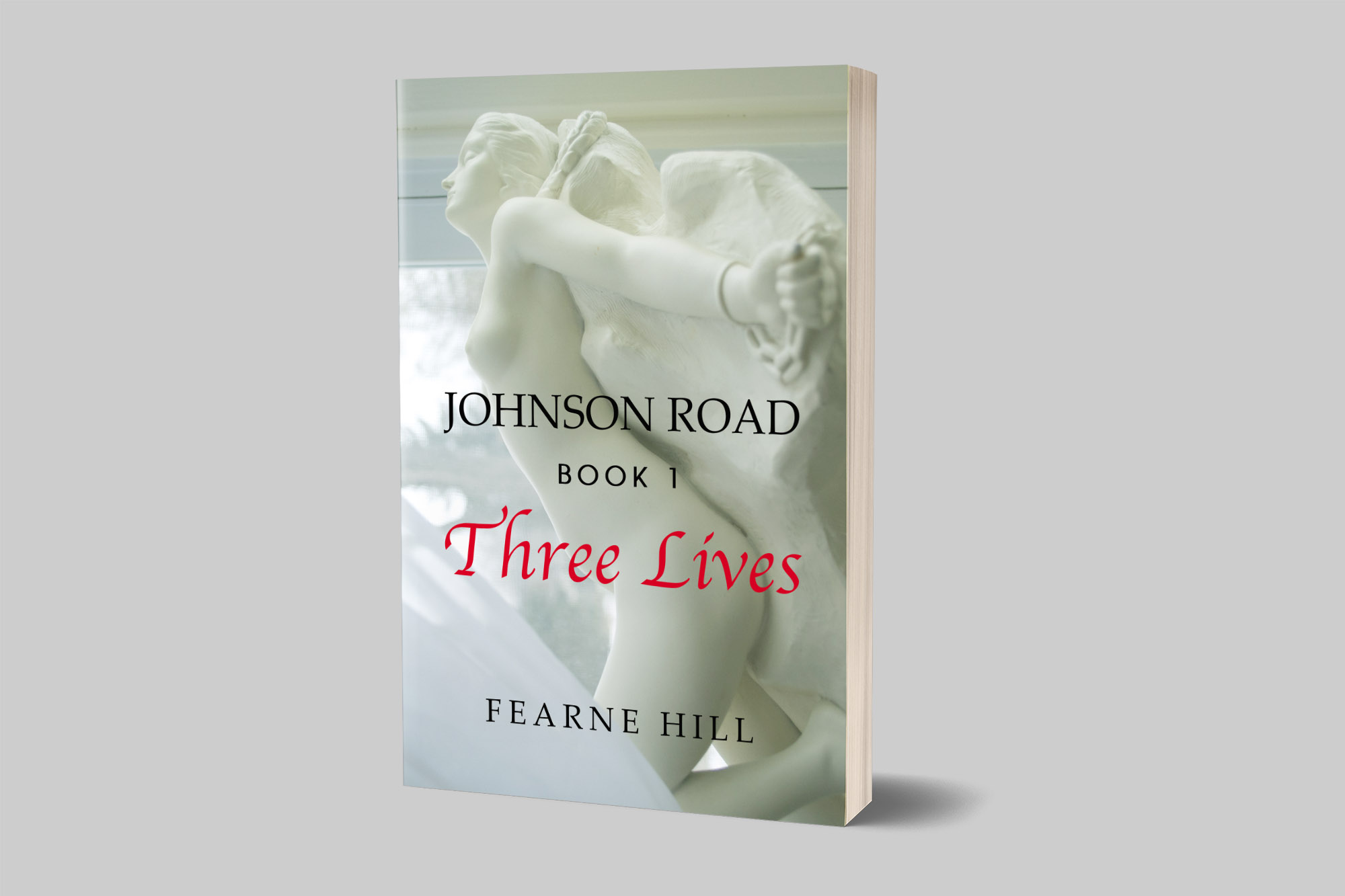 eBook Cover Design by wolfwud for this project | Design #22811985