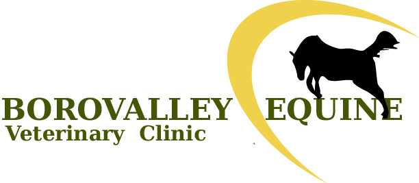 Logo Design by OliveMind