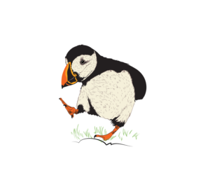 Kicking Puffin image T-shirt design | Diseño de Camiseta por typeo1978