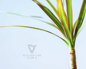 (1) Vitiligo Life and (2) Club V (see above)  | Logo Design by Vetroff