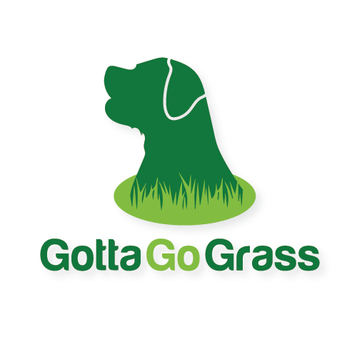 Logo Design by nicolca37 for this project | Design #22790599